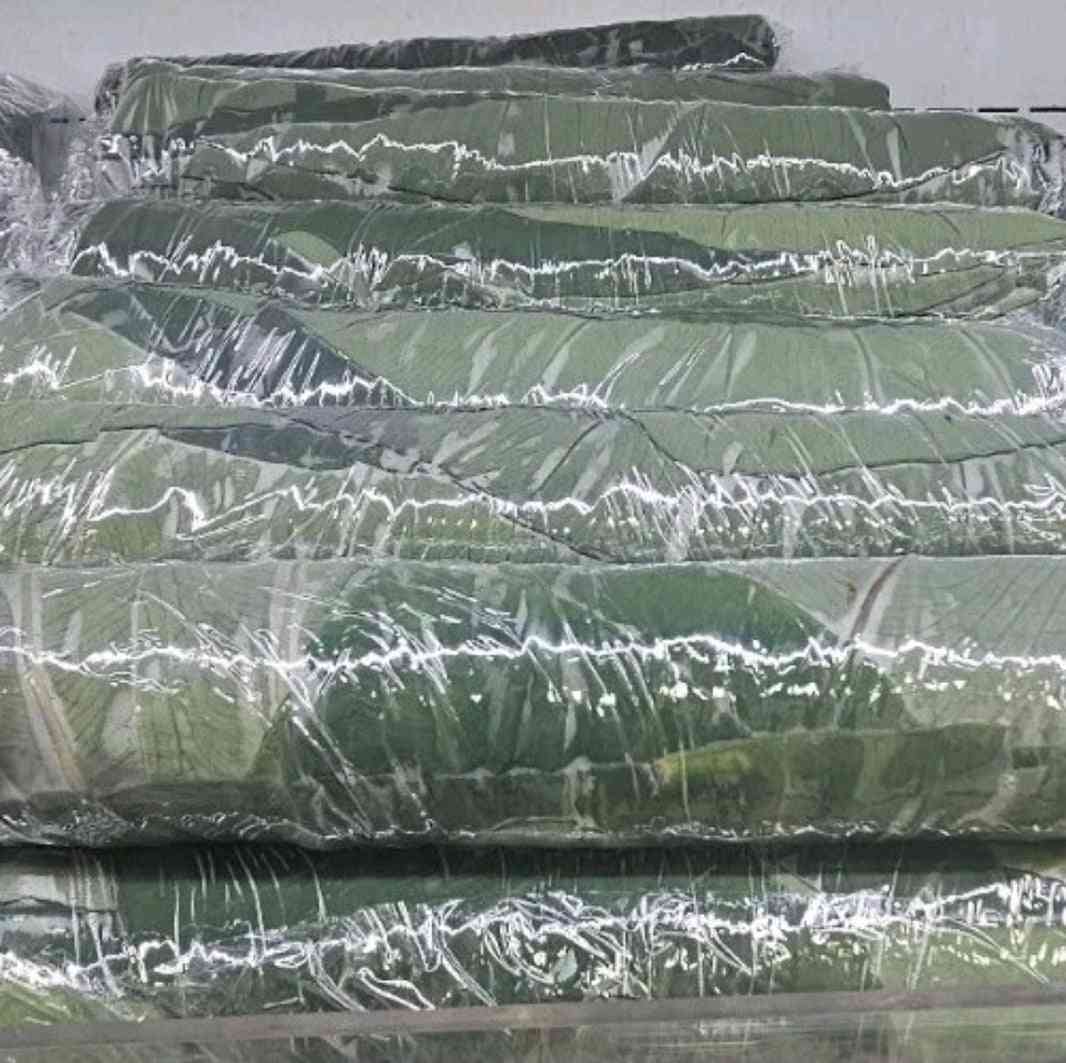 Fresh Callaloo Bush/Dasheen Bush